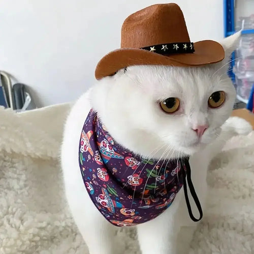 British Pet Dog Hat Star Cowboy Hat